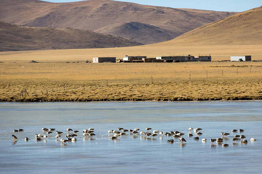 Flights to Tibet from Serbia