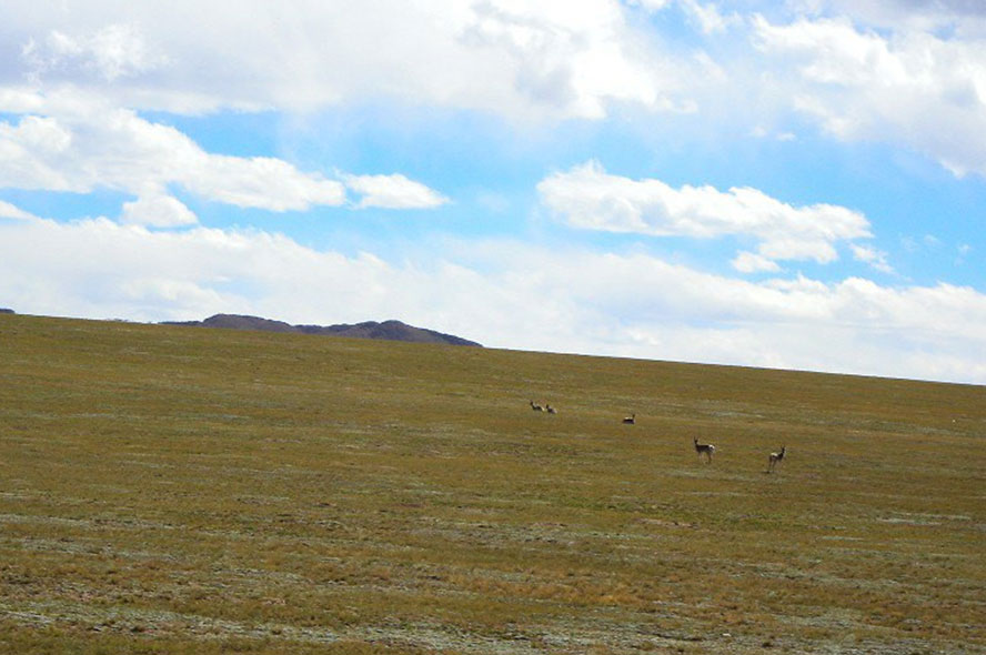 Flights to Tibet from Belgium