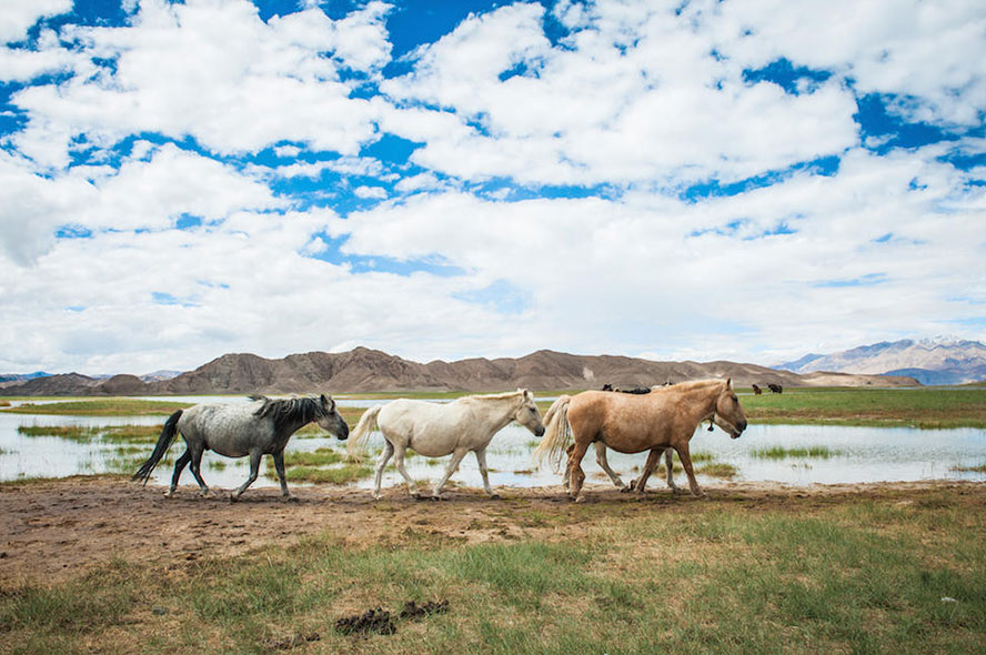 Introduction to the Attractions in Nyingchi