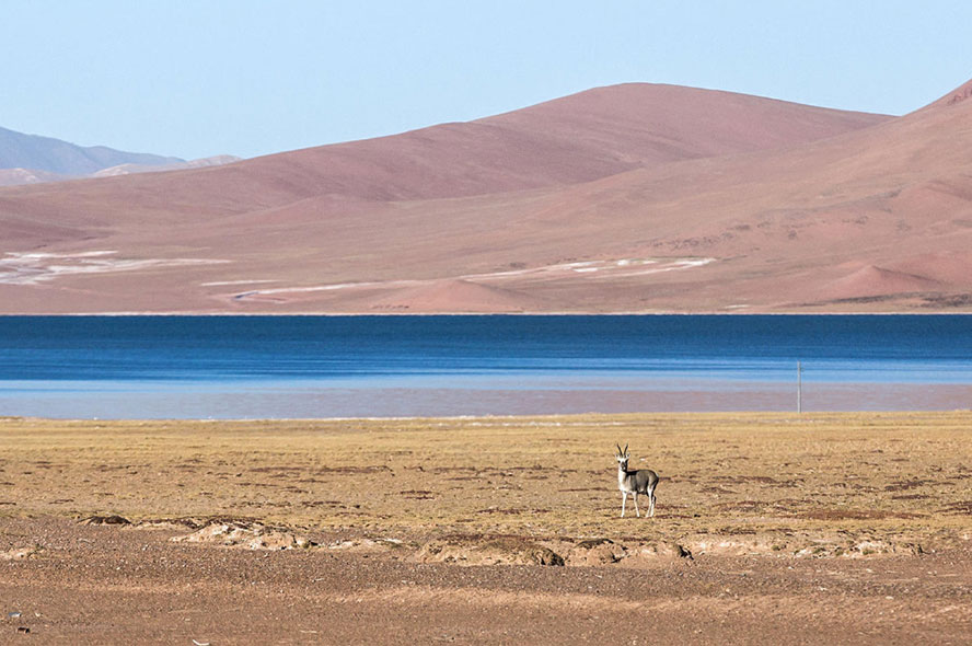 Flights to Lhasa from Changsha