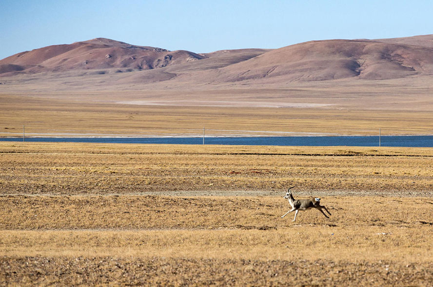 Beijing to Tibet Train