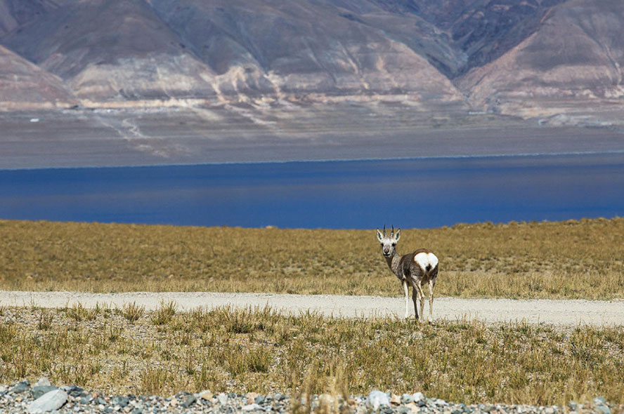 Flights to Tibet from Guyana
