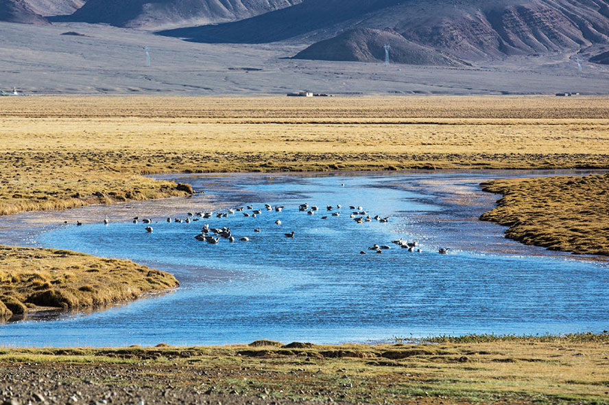 Tibet Weather in January - Weather and Tips for Planning Tibet Tour