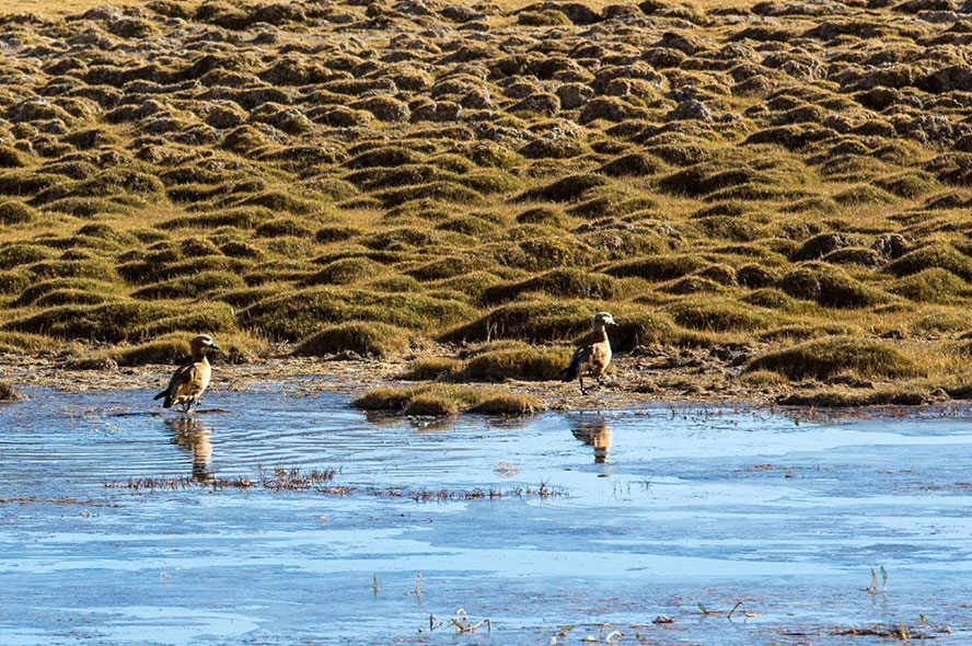 Sightseeing and Itinerary for Traveling from Sichuan to Tibet