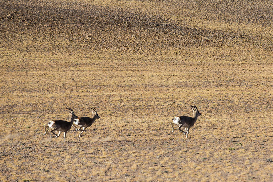 Tibet Weather in Winter